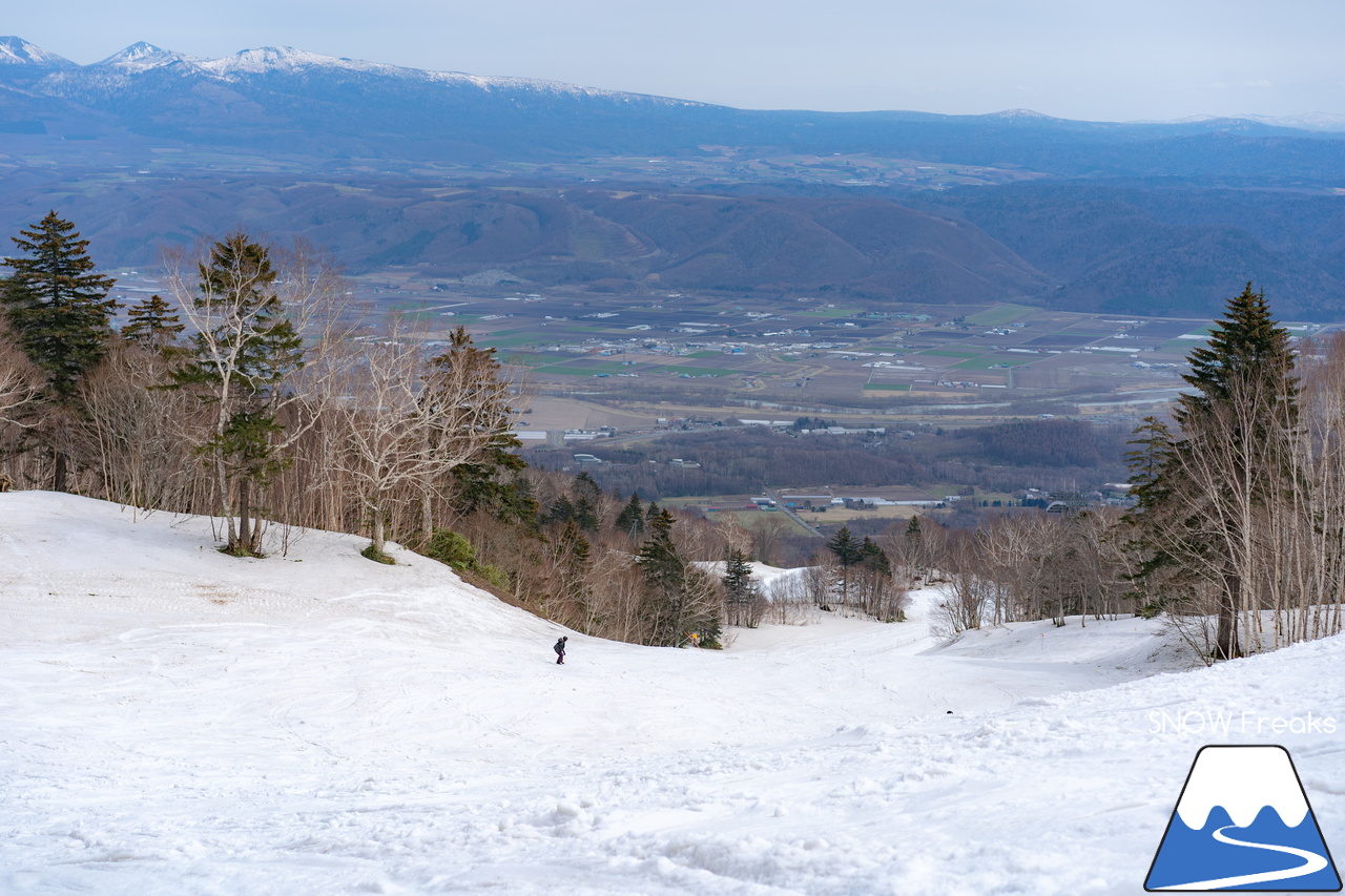 富良野スキー場｜高度感たっぷり、標高900ｍの別世界。大雪山系を望む絶景と春雪を思いっきり楽しみましょう！